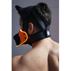 Breedwell Masque Poundtown Pup Breedwell Noir-Orange